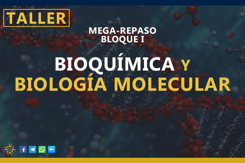 Bloque I: Bioquímica y Biología Molecular