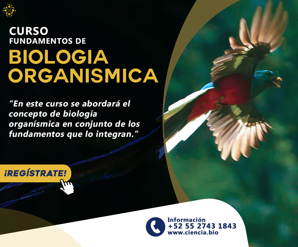 Fundamentos de Biología Organísmica