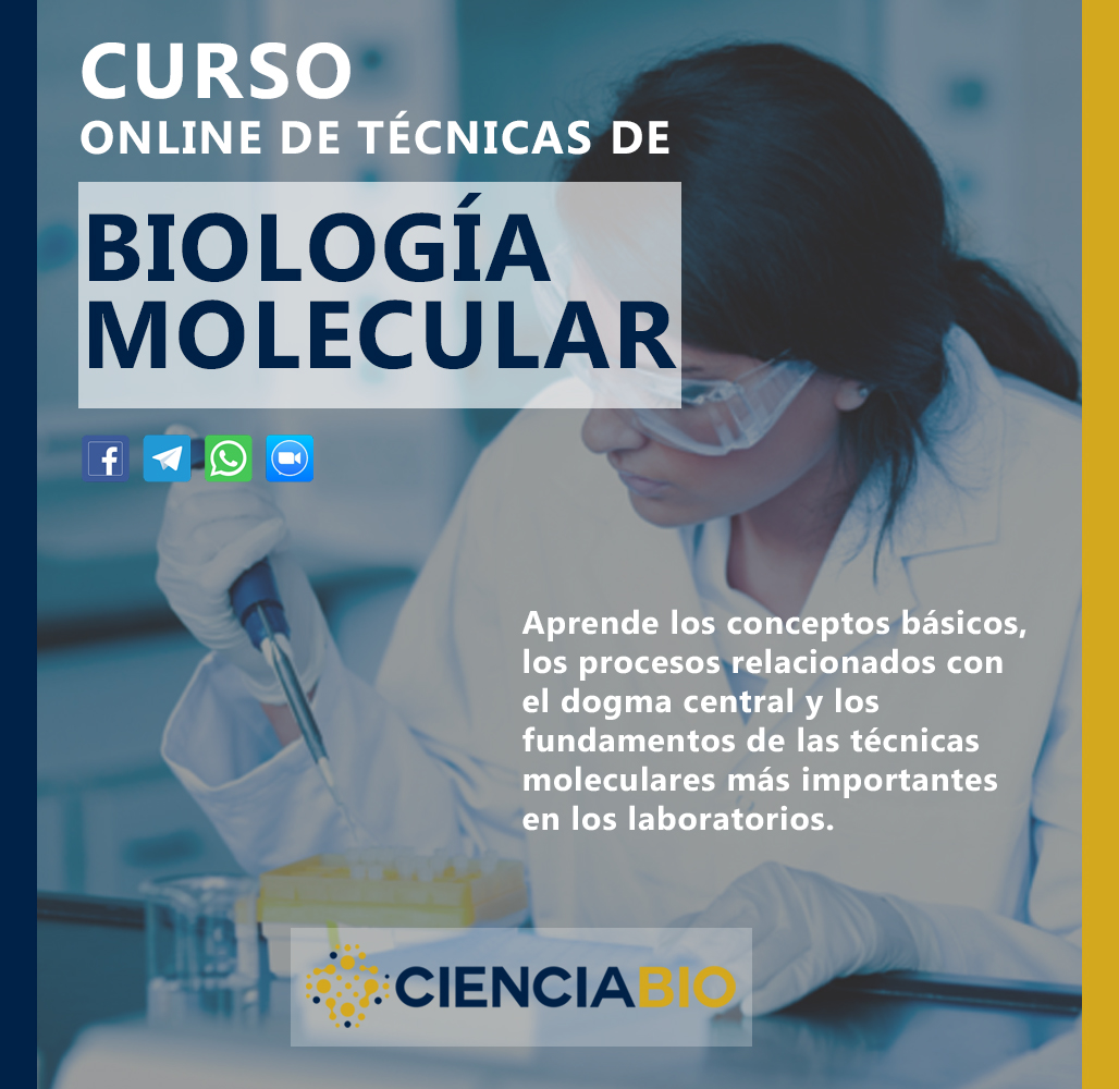 Técnicas de Biología Molecular