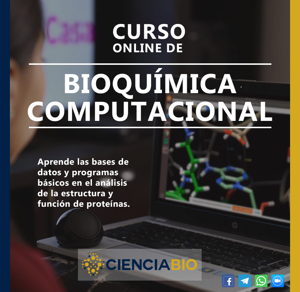 Bioquímica computacional