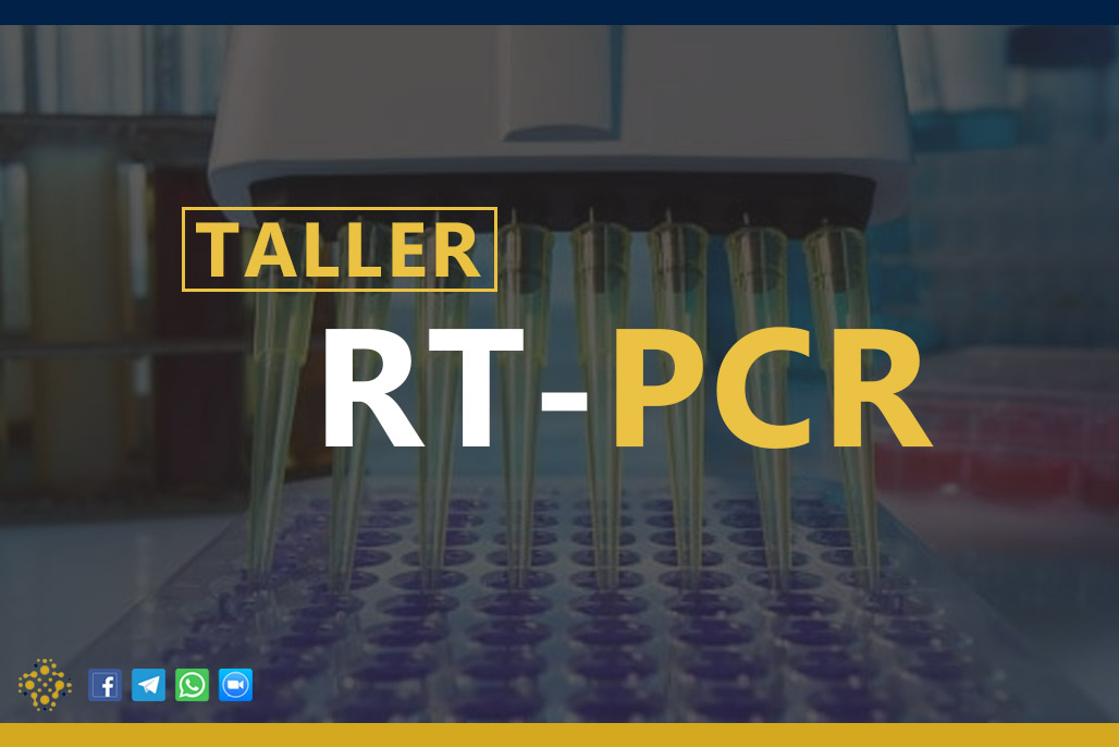 RT-PCR